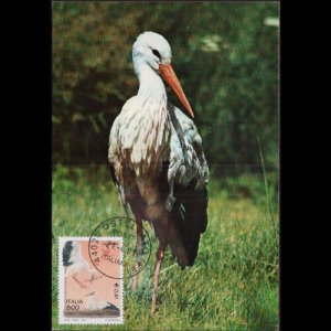 ITALY 2001 - Maximum Card - 2399 Nature-Storks 800l