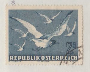 Austria Scott #C56 Stamp  - Used Single