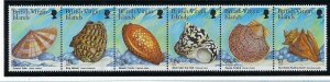 British Virgin Is 919 MNH 1999 Sea Shells strip of 6 (ak2302)