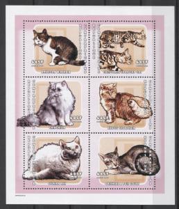 Central Africa Cats 2001 Mi#2660-65 MNH