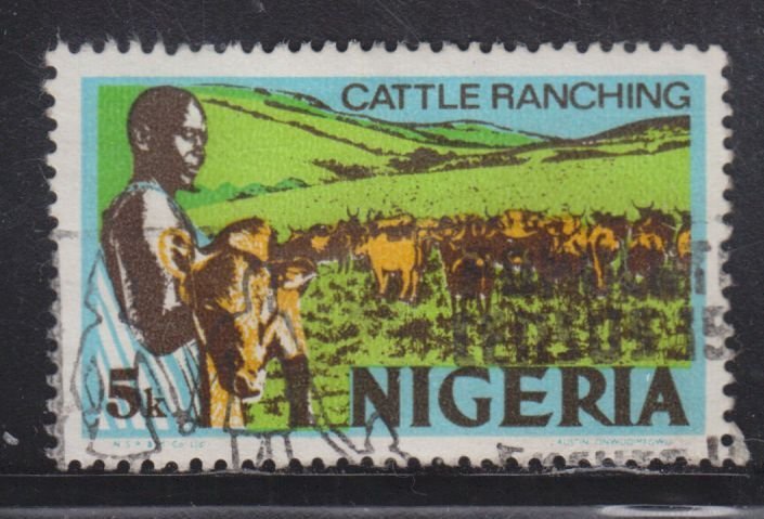 Nigeria 294 Cattle Ranching 1974 - Error