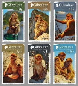 Gibraltar 2011 - Primates - Barbary macaque - set of 6 - Scott #1290-5 - MNH