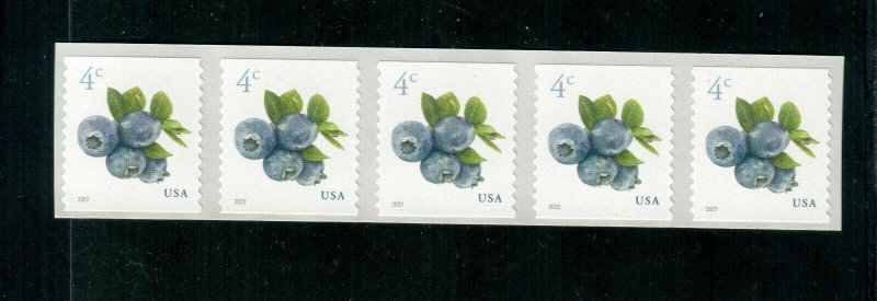 5653 Blueberries Coil Strip 0f 5 MNH 2022