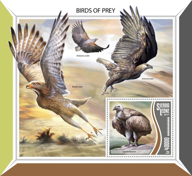 Z08 SRL17814b Sierra Leone 2017 Birds of Prey MNH ** Postfrisch