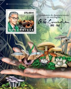 Mozambique 2012 MNH - Mushrooms. Y&T 635, Mi 6166/Bl.690, Scott 2759