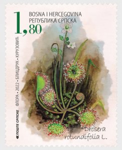 Bosnië / Bosnia - Postfris/MNH - Complete set Flowers 2022