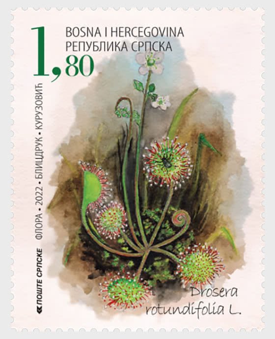 Bosnië / Bosnia - Postfris/MNH - Complete set Flowers 2022