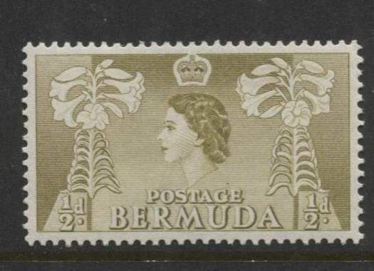 Bermuda - Scott 143- QEII-Definative-1953 - MVLH - Single 1/2d Stamp