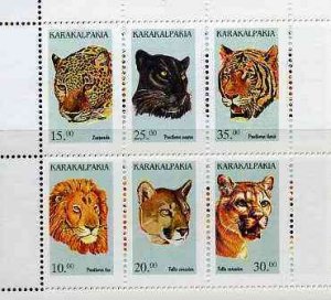 KARAKALPAKIA - 1996 - Cats - Perf 6v Sheet - Mint Never Hinged