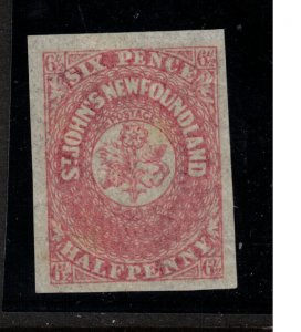 Newfoundland #21 Extra Fine Never Hinged