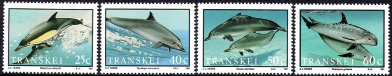 Transkei - 1991 Dolphins Set MNH** SG 265-268