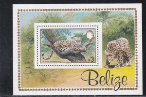 Belize # 689-692 & 693, WWF - Jaguar's, Mint NH, 1/2 Cat