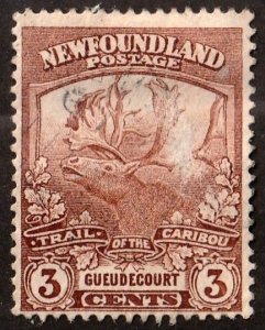 Newfoundland      118     used