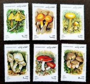 *FREE SHIP Afghanistan Mushroom 2001 Fungi Plant Flora (stamp) MNH