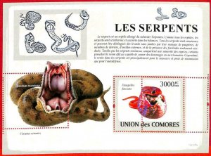 A3173- COMOROS, ERROR MISSPERF Souvenir sheet: 2009 Snakes, Saharan Horned Viper