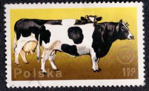 Poland - 2099 1975 Used