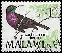 MALAWI   #95 USED (1)