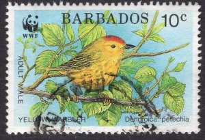 BARBADOS SCOTT 795