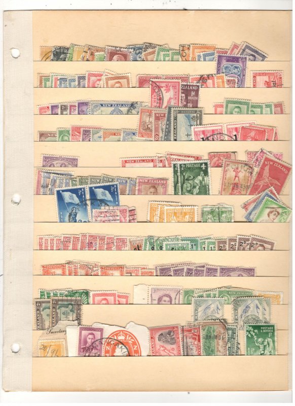 NEW ZEALAND COLLECTION ON STOCK SHEET, MINT/USED