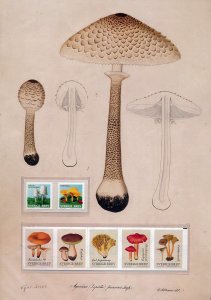 MB419 Sweden 2759-2761 MNH stamps collector's sheet Mushrooms