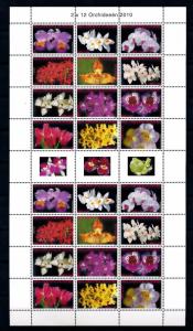 [SUV1729] Surinam Suriname 2010 Flora Flowers Orchids Sheet with tab MNH