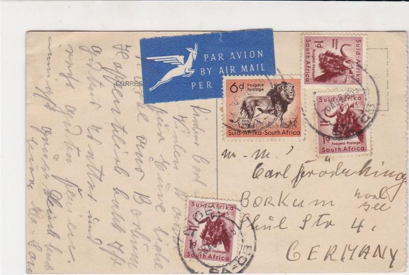 South Africa 1959 Airmail Native Warrior Pic Animal+Lion Stamps Card Ref 29314