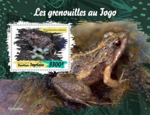 Togo - 2019 Frogs of Togo on Stamps - Stamp Souvenir Sheet - TG190584b