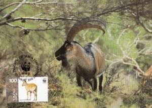 Armenia 1996 Maxicard Sc #541 100d Capra aegagrus goats One standing WWF