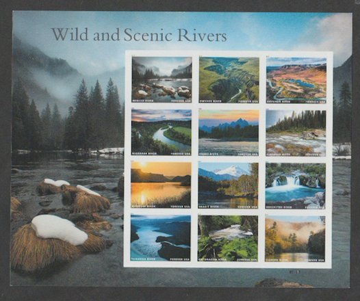 U.S. Scott #5381 Wild & Scenic Rivers Stamps - Mint NH Sheet - UM Plate