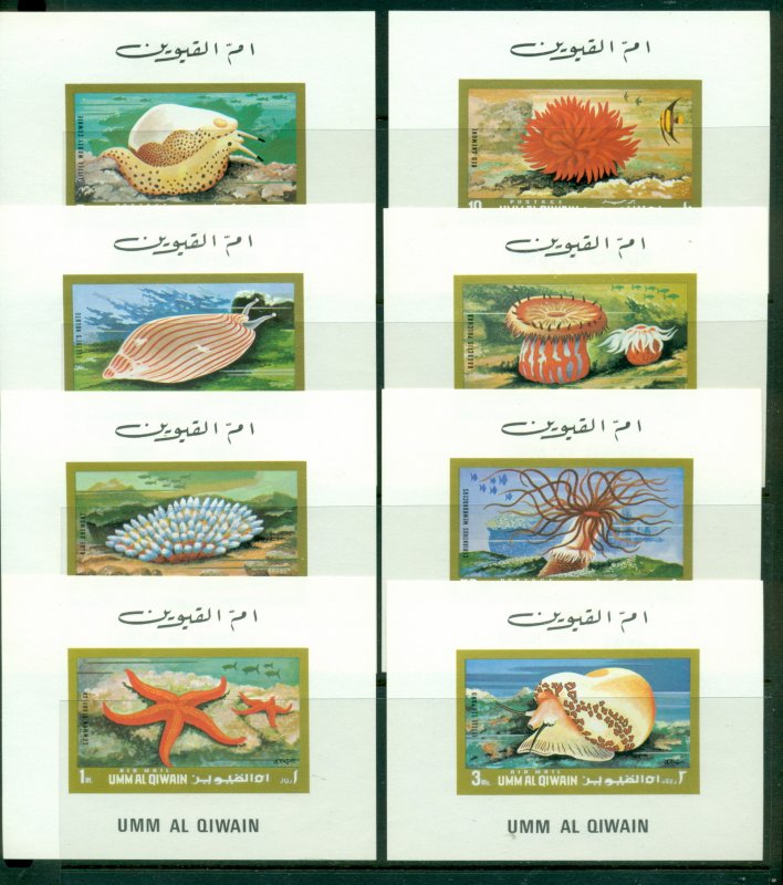 Umm al Qiwain 1972 Mi#682-689 Marine Life, Shells, Starfish, Anemone 8xDLMS MLH