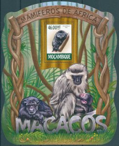 Mozambique 2015 MNH Wild Animals Stamps Monkeys Blue Monkey 1v S/S I