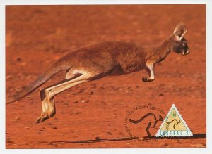 Maximum card Australia 1994 Kangaroo