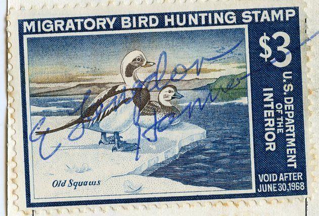 US Scott RW34 1967 Hunting Permit Stamp Used on Florida Non-Resident License