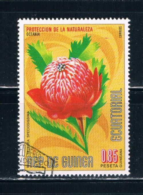 Equatorial Guinea Used Flower Telopea Speciosissima (E0034)