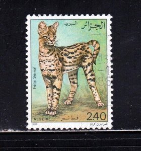Algeria stamp #804, used, topical, cats, very obscure - FREE SHIPPING!! 