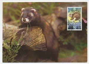 Maximum card Liechtenstein 1989 Polecat - WWF