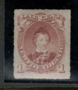 Newfoundland #37 Very Fine+ Mint Original Gum Lightly Hinged