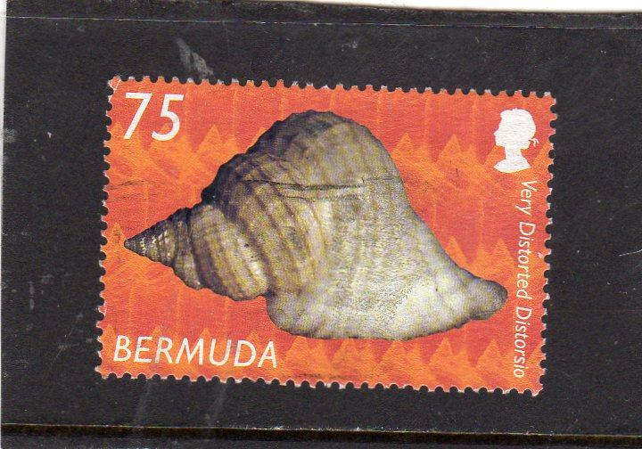 Bermuda Shells used