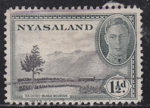 Nyasaland Protectorate 70 Tea Plantation 1945