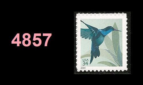 US 4857 Hummingbird 34c single (from sheet of 20) MNH 2014