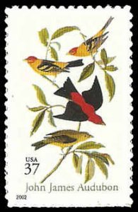 PCBstamps   US #3650 37c Scarlet & Louisiana Tanagers, MNH, (15)