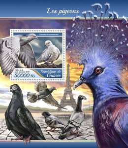 [950 32]- YEAR 2017 - GUINEA - PIGEONS          1V   complet set  MNH/**