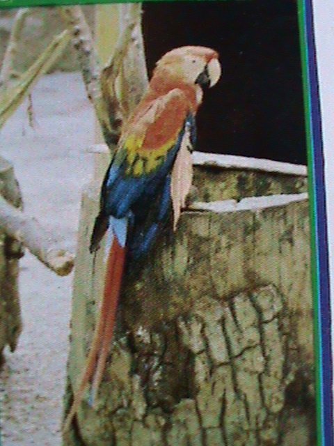 ​OMAN STAMP-LOVELY BEAUTIFUL BIRDS IMPERF :MNH S/S SHEET VERY FINE