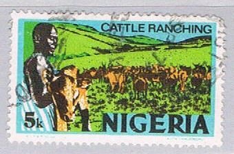 Nigeria Cattle (NP34R804)