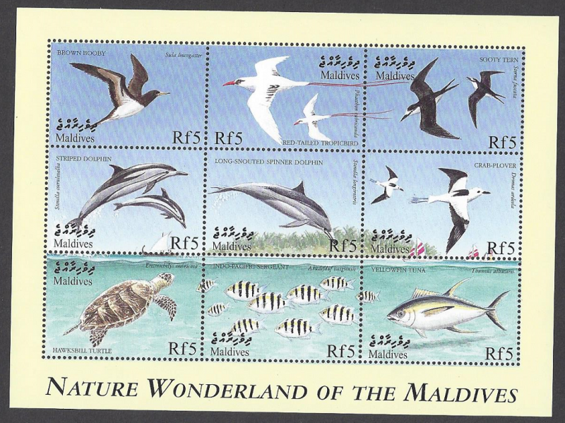 Maldive Islands #2388 MNH ss, various marine life, issued 1999