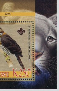 Malawi Birds of Africa Driotriorchis Spectabilis Moon Panther Souvenir Sheet MNH