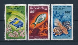 [47112] French Somali Coast Djibouti 1966 Marine Life Fish Airmail MNH