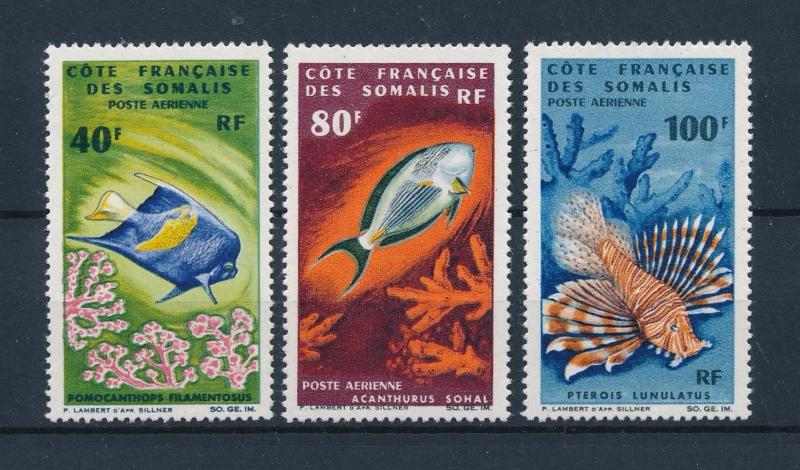 [47112] French Somali Coast Djibouti 1966 Marine Life Fish Airmail MNH