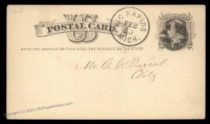 USA 1800s Big Rapids Michigan Negative Star Fancy Cancel Cover 95071