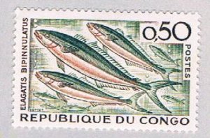 Congo Fish 50 (AP122408)